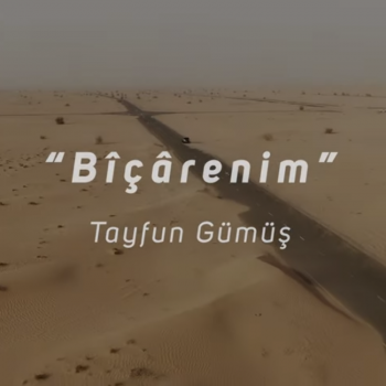 Bîçârenim - Tayfun Gümüş